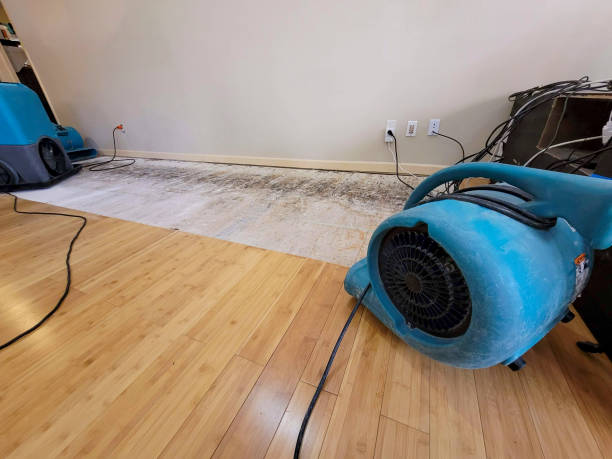 Professional Structural Drying technician working in Algonquin, IL